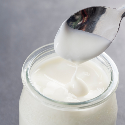 Symbiota Viili yogurt Heirloom mesophilic culture-0