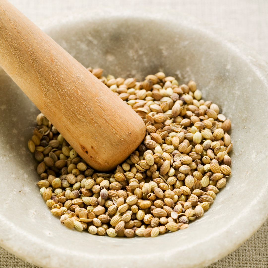 Whole Coriander Seeds-0