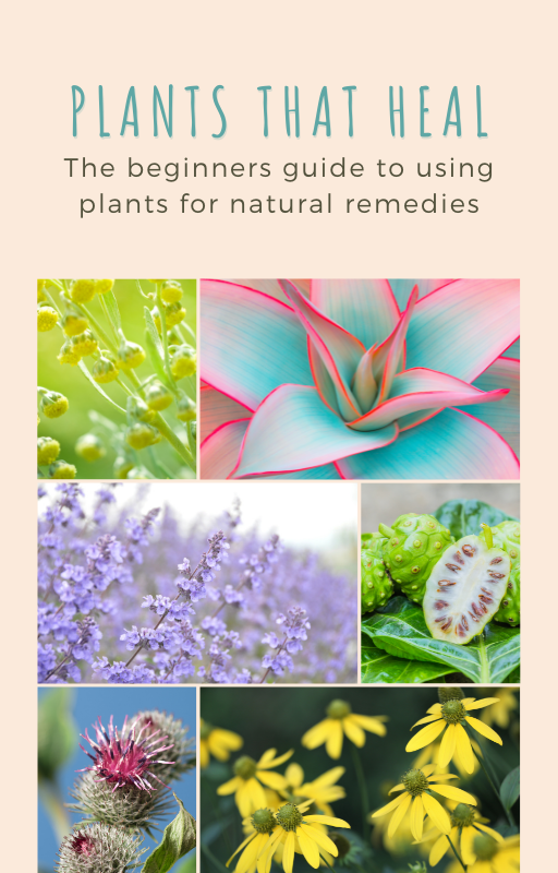 Plants that Heal - Beginners Guide to using Plants for Natural Remedies - Eco Wellness Lab
