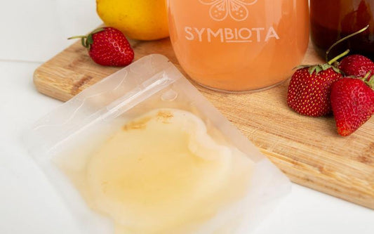 JUN kombucha SCOBY (Organic)