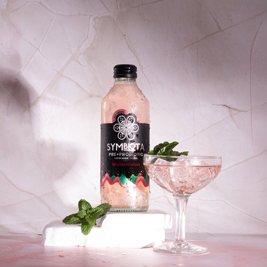 Watermelon Kefir Soda - 6 pack-0