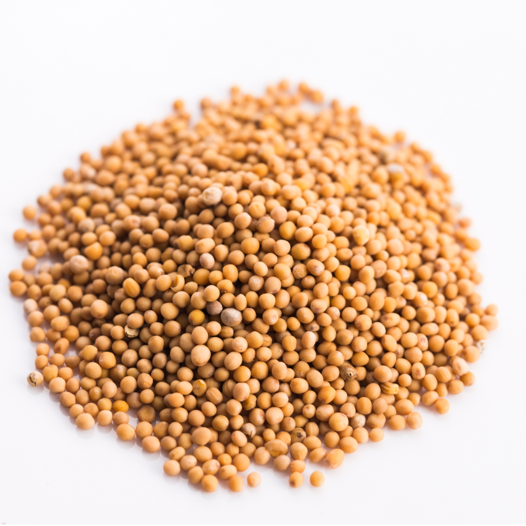 Yellow Mustard Seeds 100g