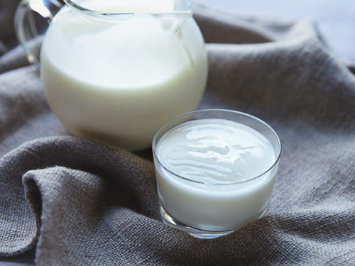 Caspian Sea/ Matsoni Yogurt Starter Culture