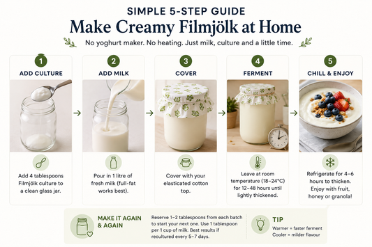 Filmjölk Yogurt Kit