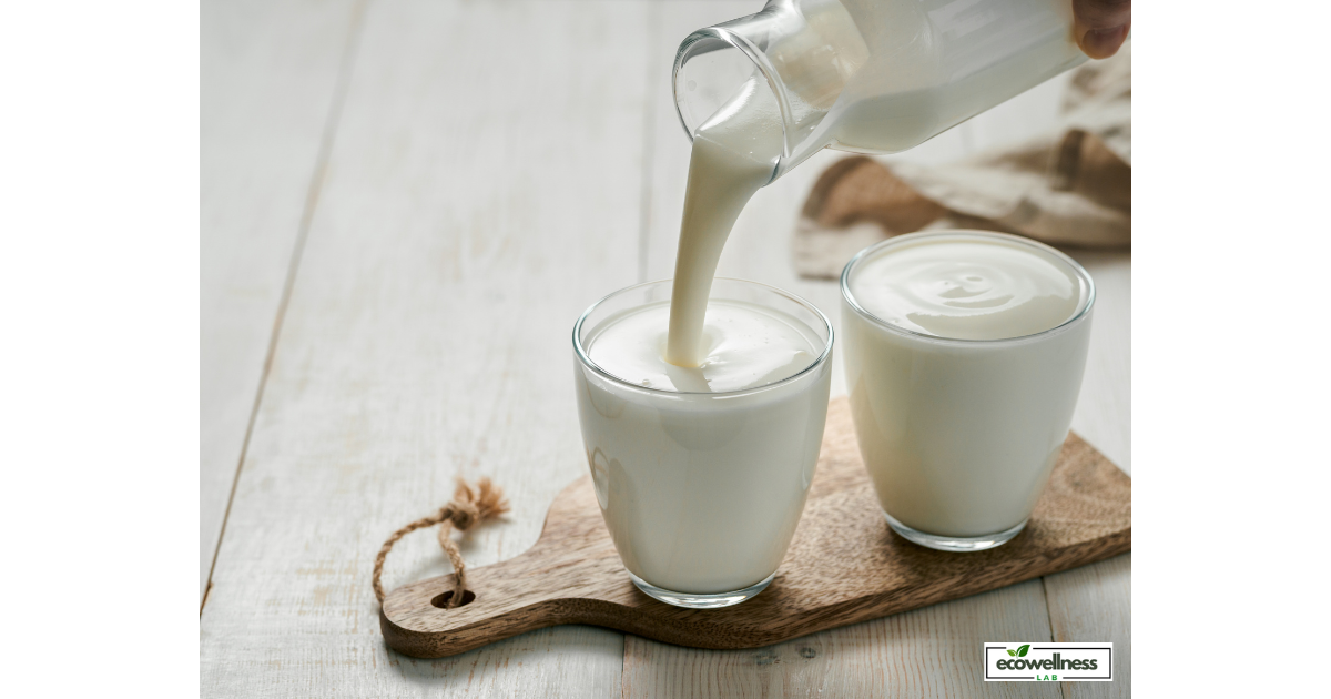 Milk Kefir Kit