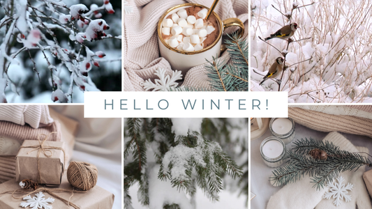 Winter Wellness: Natural Ways to Stay Healthy This Season