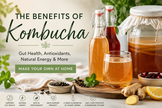 The Benefits of Kombucha: Why You Should Make Your Own at Home