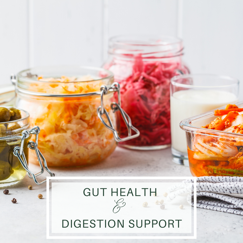 click to buy gut health and digestion support products