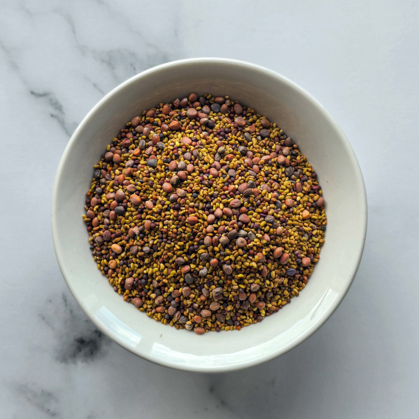 Sprouting Seeds Organic Blend 100g-0