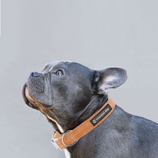 plastic free dog collar
