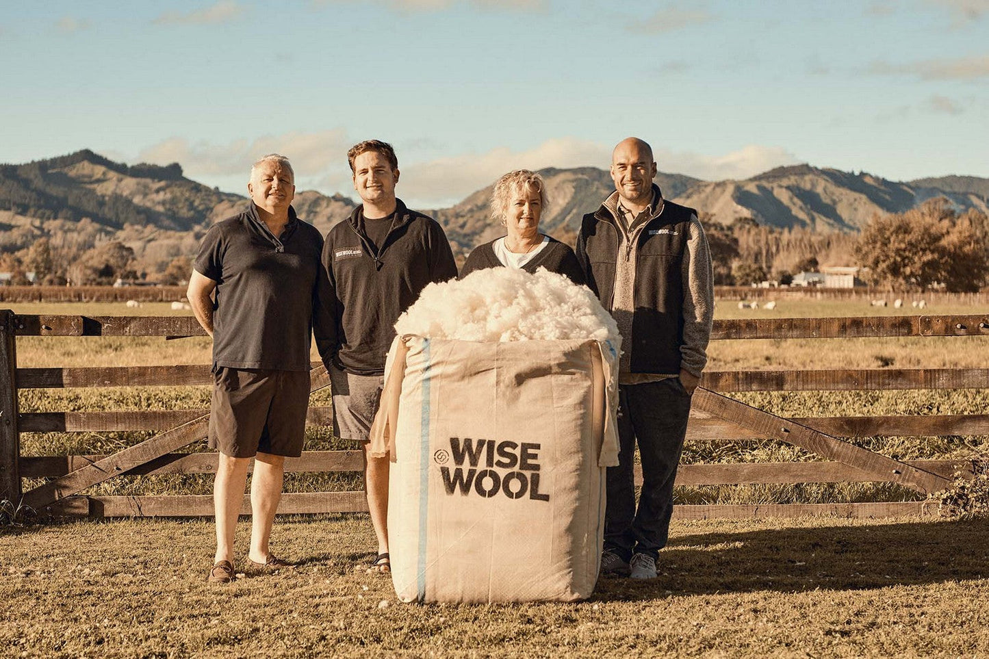 Wisewool™ Cloud Pillow