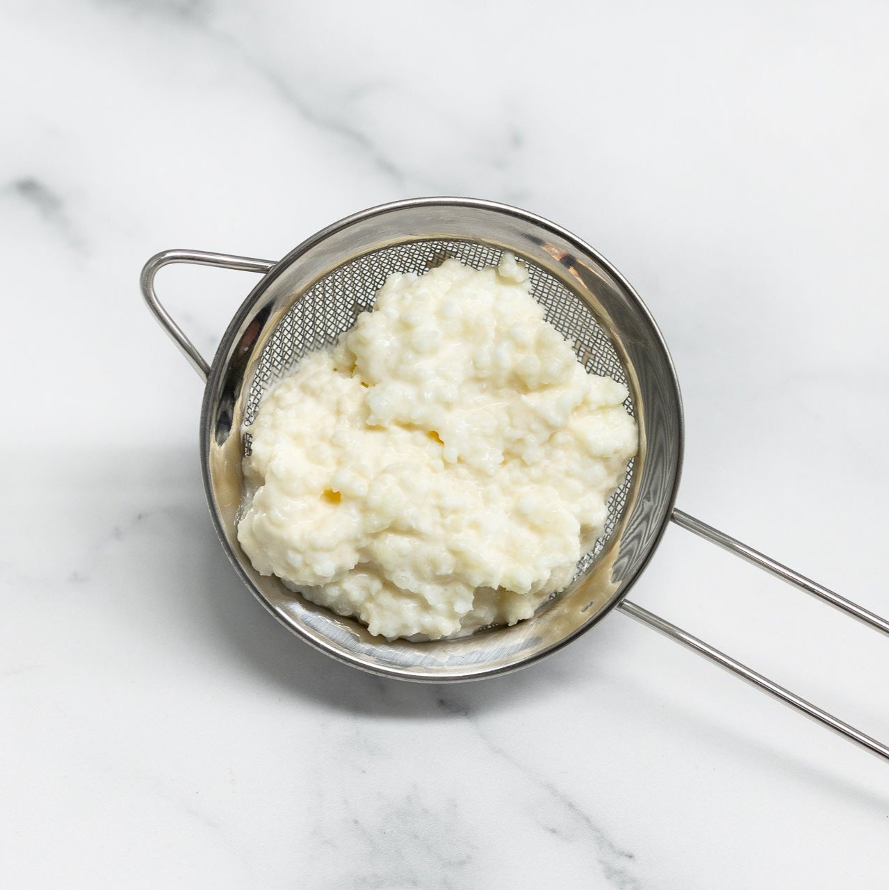 Milk Kefir Grains-0
