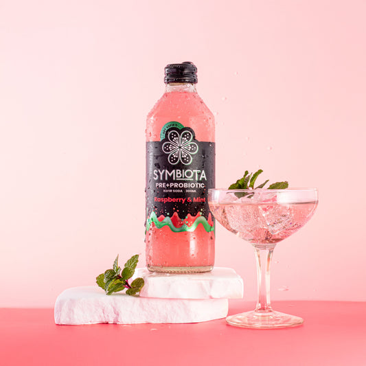 Raspberry & Mint Kefir Soda -6 pack-0