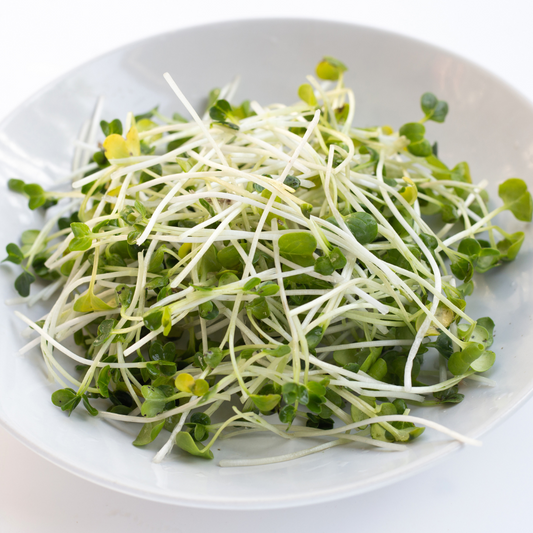 Sprouting seeds Organic Diakon Radish 100g-0