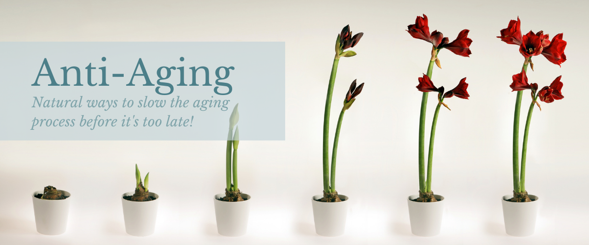 Anti Aging - Natural Ways to Slow Aging by Emily Patridge - Eco Wellness Lab
