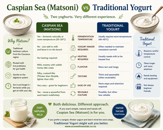 Caspian Sea/ Matsoni Yogurt Starter Culture