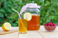 Jun Kombucha Kit (using organically grown Jun SCOBY)