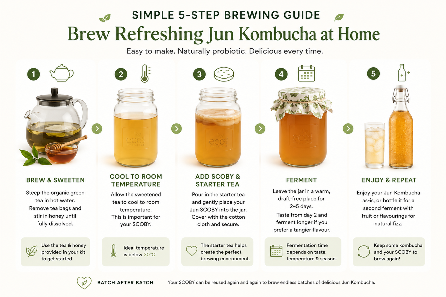Jun Kombucha Kit (using organically grown Jun SCOBY)