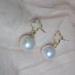 Clara Pearl Drop Earrings 2