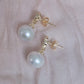 Clara Pearl Drop Earrings 4