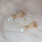 Clara Pearl Drop Earrings 6
