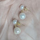 Mila Double Pearl Drop Earrings 4