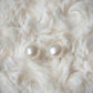 Ella Freshwater Pearl Studs