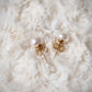Ella Freshwater Pearl Studs