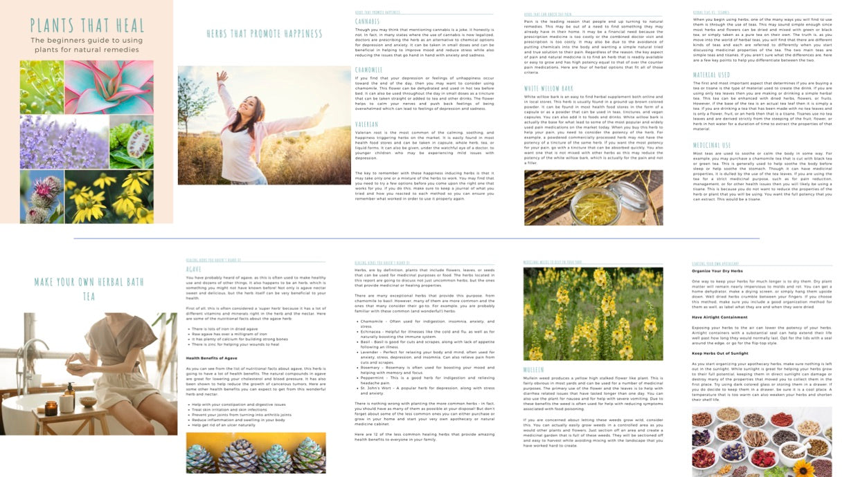Plants that Heal -  Beginners Guide to using Plants for Natural Remedies - Eco Wellness Lab