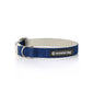 plastic free dog collar