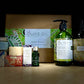 OOSC Gift Series: Special Aboriginal Gift Pack S5-1